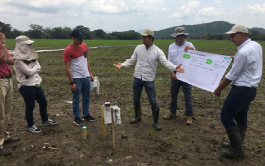 噛めば噛むほど味わい深いトビタテ！留学JAPAN