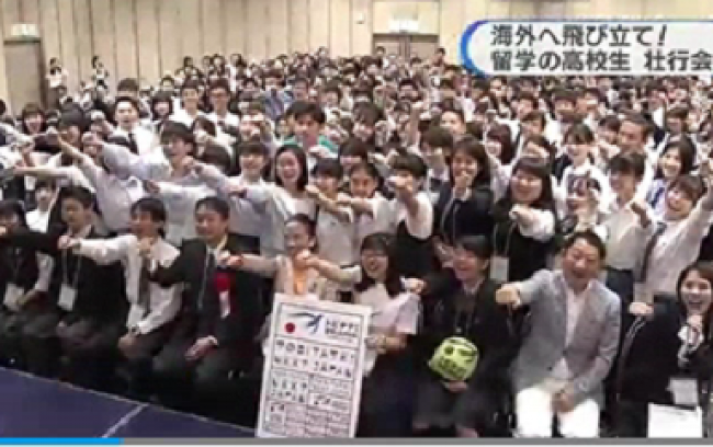 【メディア報道】NHK関西（2019年6月15日放映）