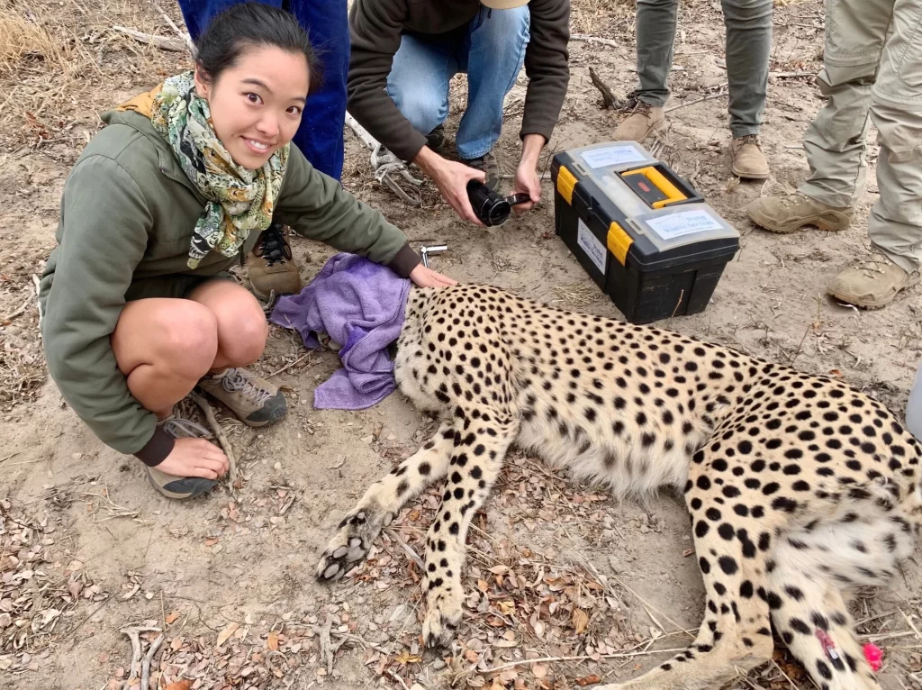 野生動物保護活動