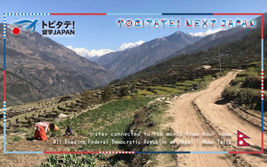 トビタテバーチャル背景