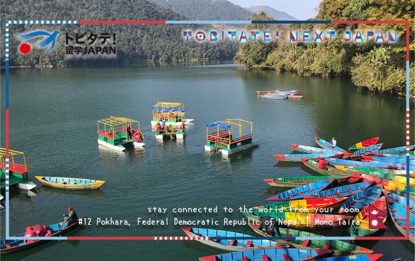 トビタテバーチャル背景