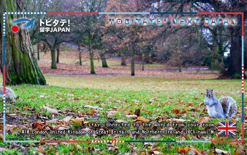 トビタテバーチャル背景